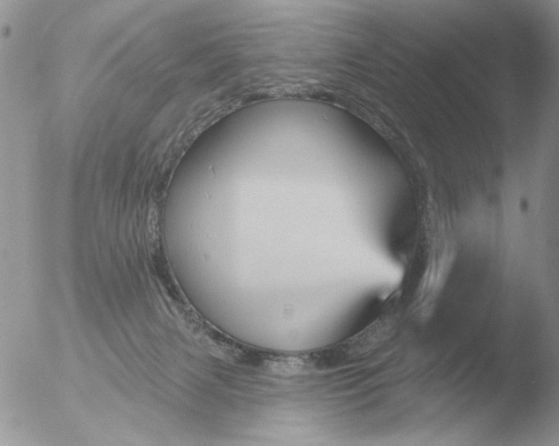 X0000051920079200507152108