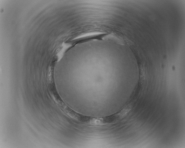 X0000051920080200507152108