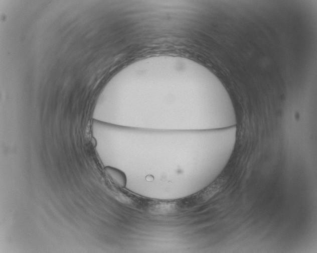 X0000051920081200507152108