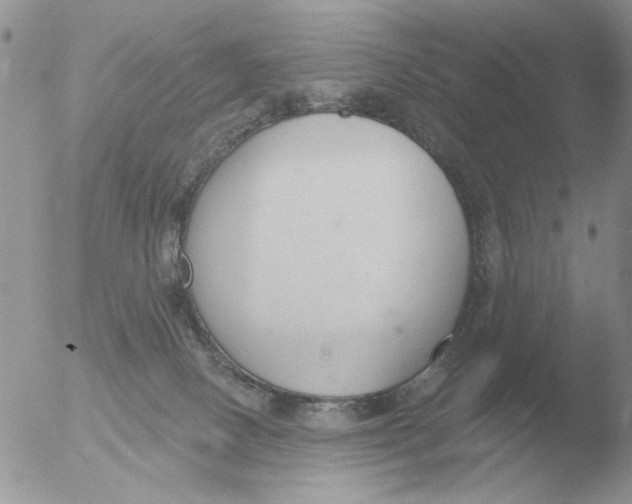 X0000051920082200507152108