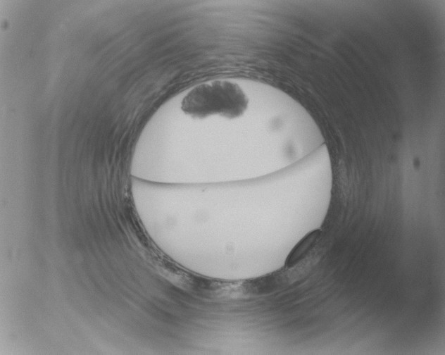 X0000051920083200507152108