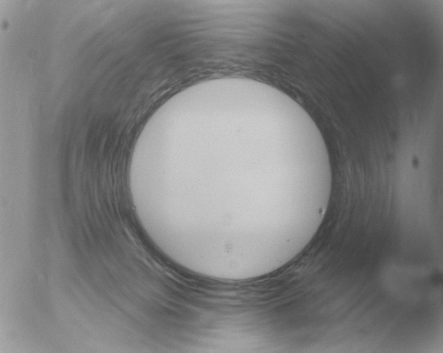 X0000051920084200507152108