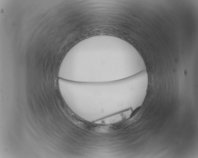 X0000051920086200507152108