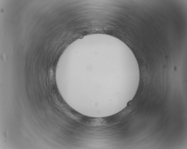 X0000051920087200507152108