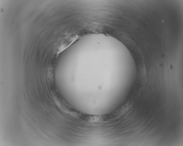 X0000051920088200507152108