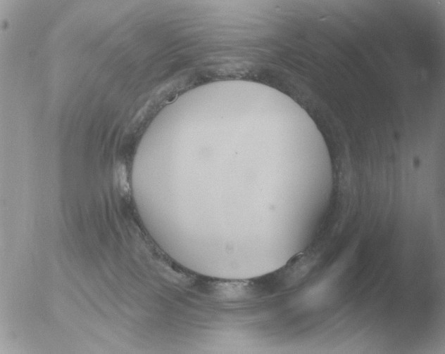 X0000051920089200507152108