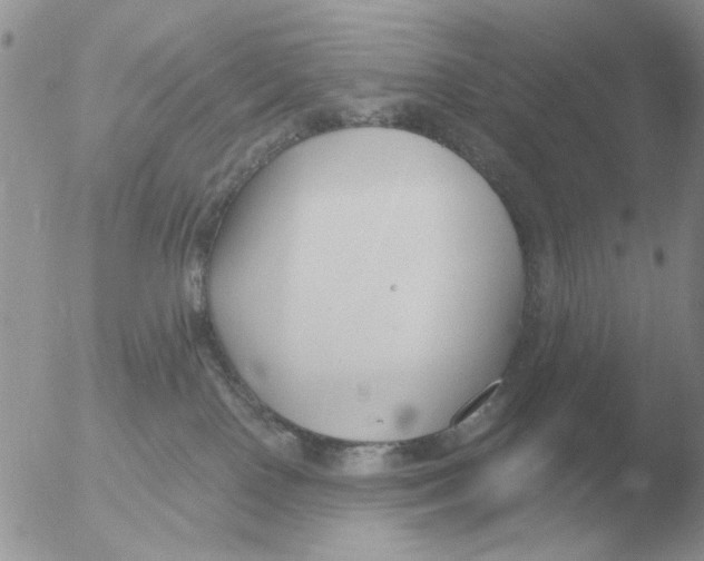 X0000051920090200507152108