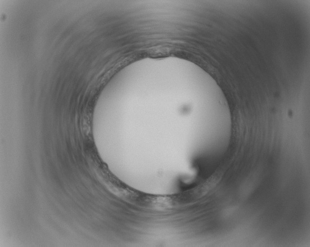 X0000051920091200507152108