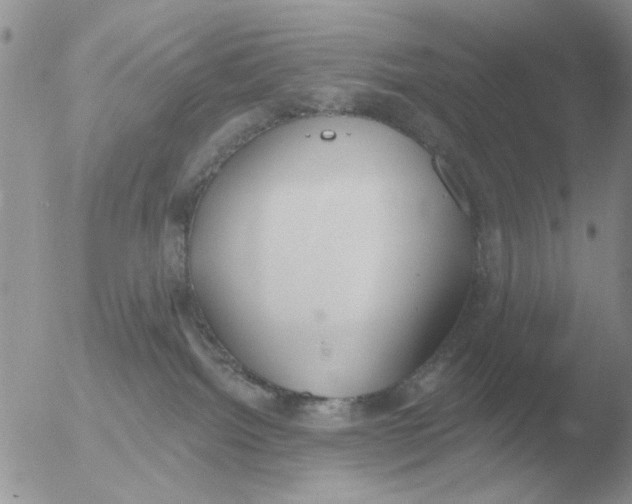 X0000051920092200507152108