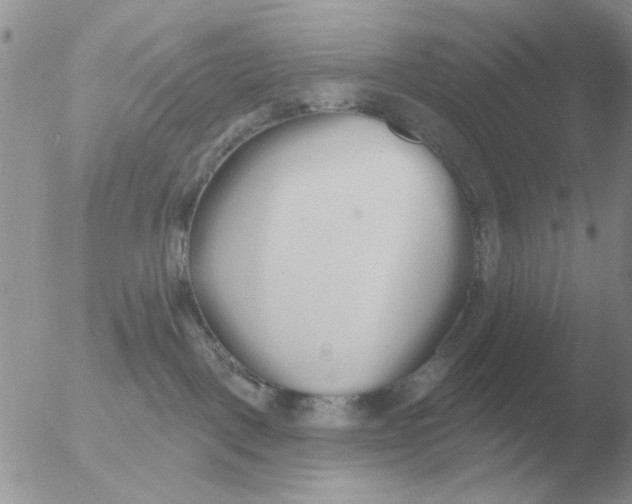 X0000051920093200507152108