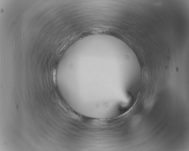 X0000051920094200507152108