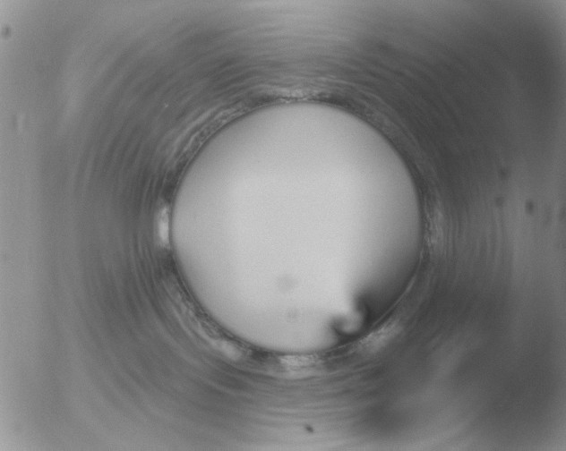 X0000051920095200507152108