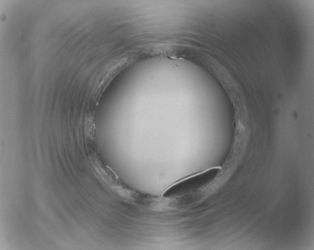 X0000051920096200507152108