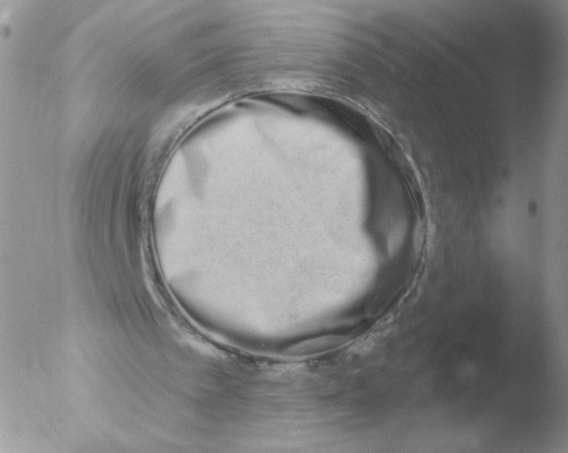 X0000051920097200507152107