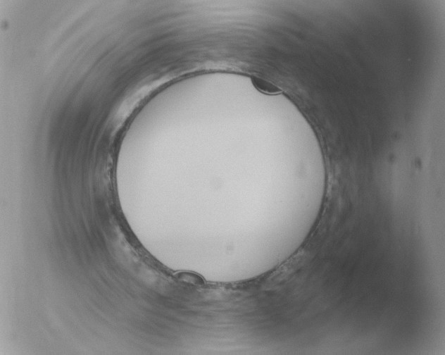 X0000051920098200507152107