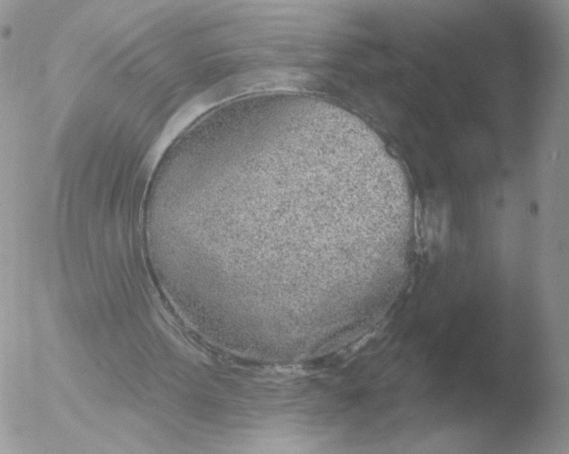 X0000051920099200507152107