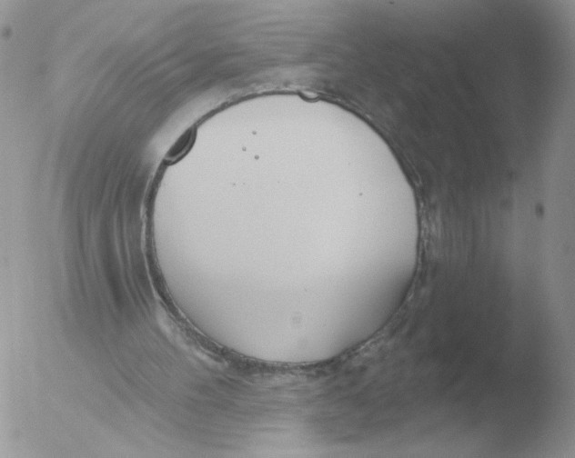 X0000051920100200507152107