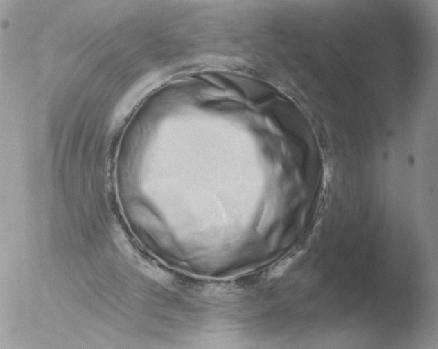 X0000051920101200507152107