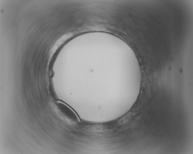 X0000051920104200507152107