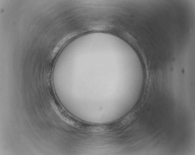 X0000051920106200507152107