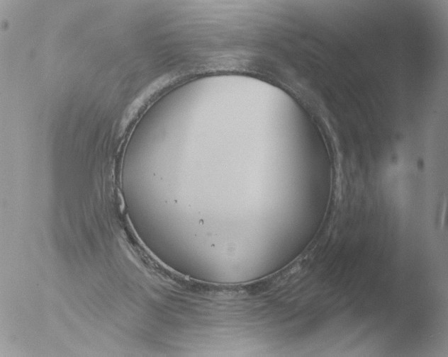 X0000051920107200507152107