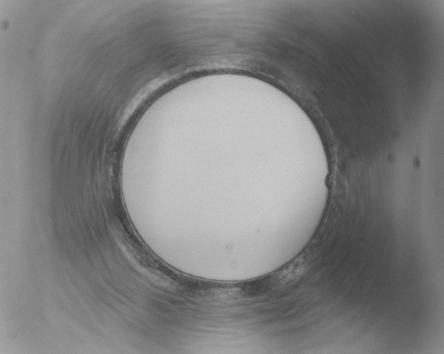 X0000051920108200507152107