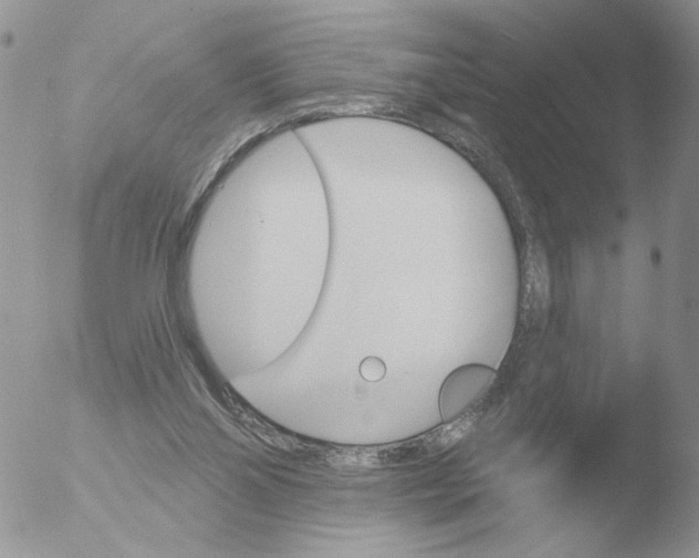 X0000051920110200507152107