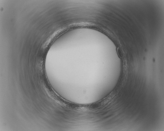 X0000051920111200507152107