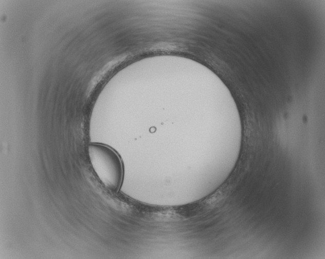 X0000051920112200507152107