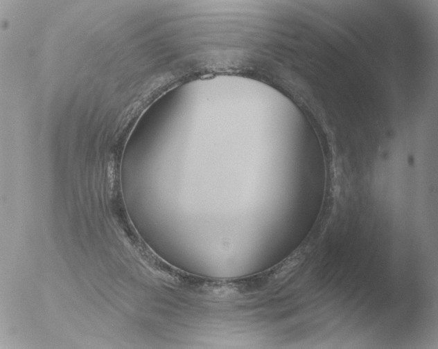 X0000051920113200507152107