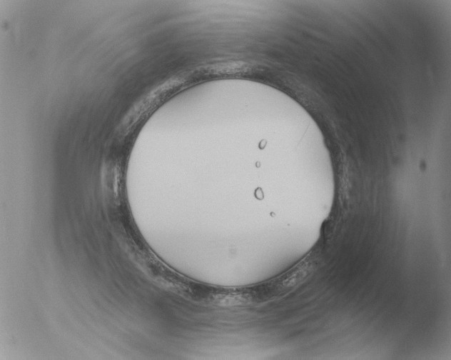 X0000051920115200507152107