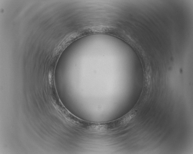 X0000051920117200507152107