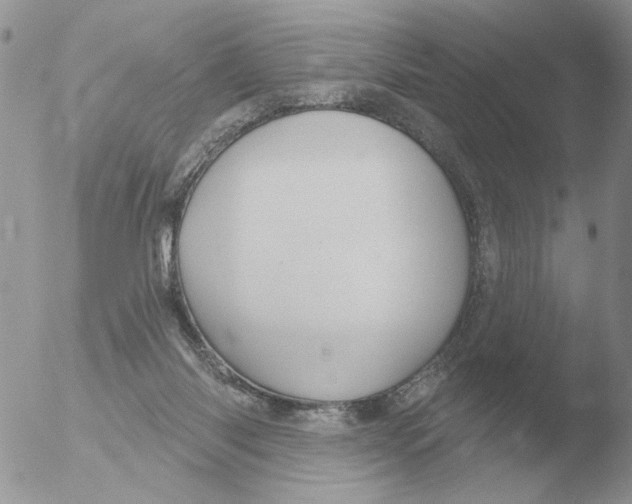 X0000051920118200507152107