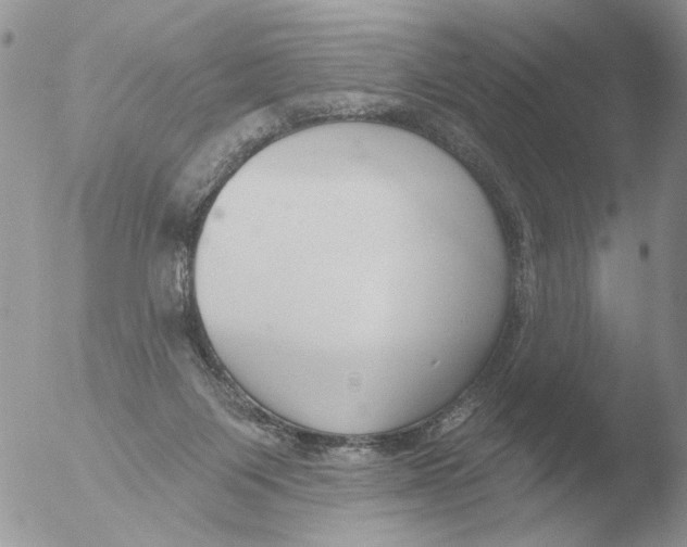 X0000051920119200507152107