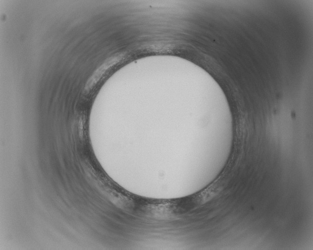 X0000051920120200507152107