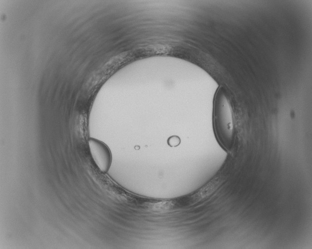 X0000051920122200507152107