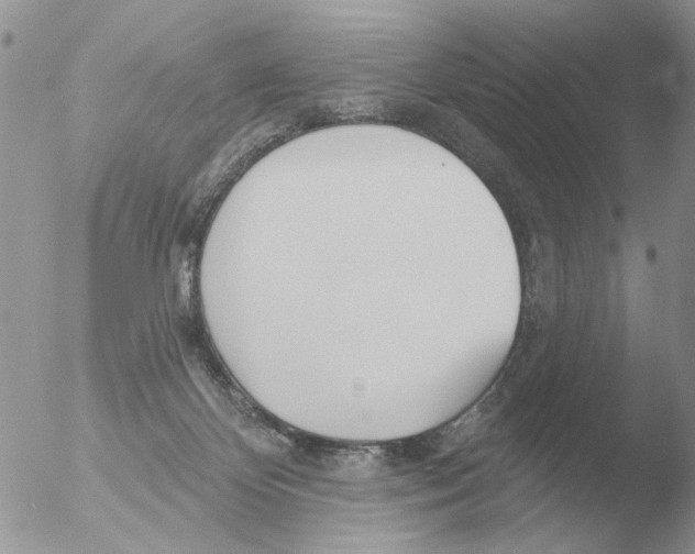 X0000051920124200507152107