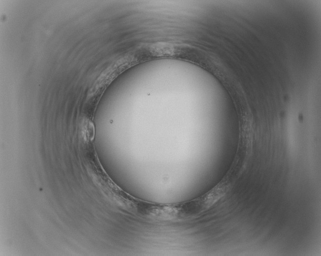 X0000051920125200507152107