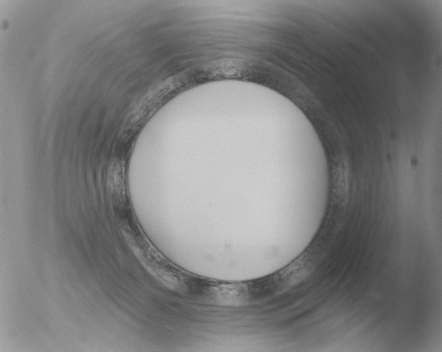 X0000051920126200507152107