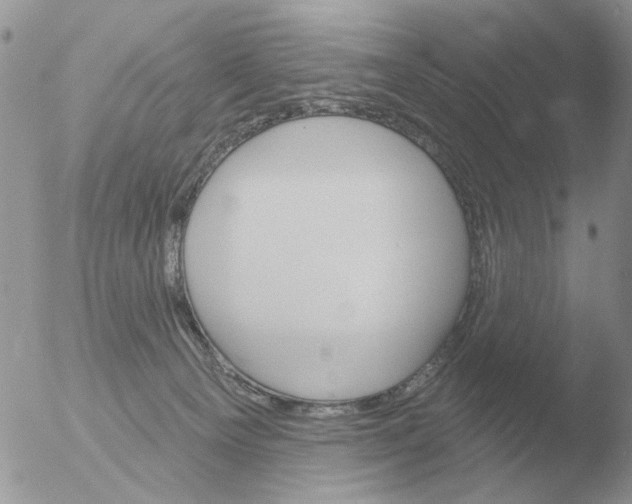 X0000051920129200507152107