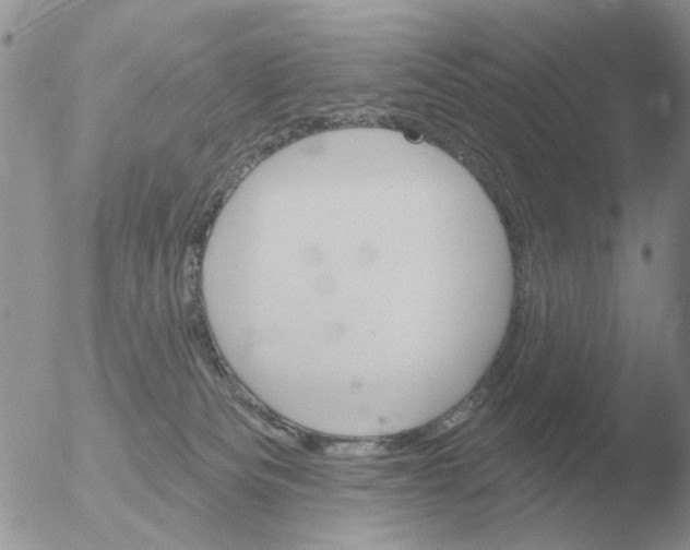 X0000051920133200507152107