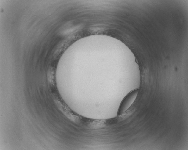 X0000051920138200507152106