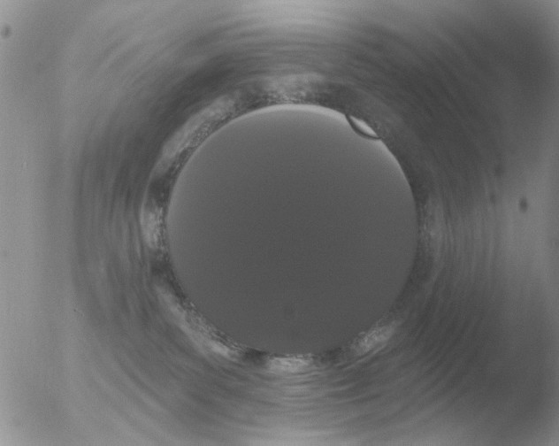 X0000051920139200507152106