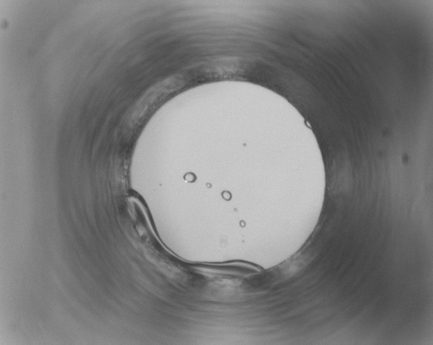 X0000051920140200507152106