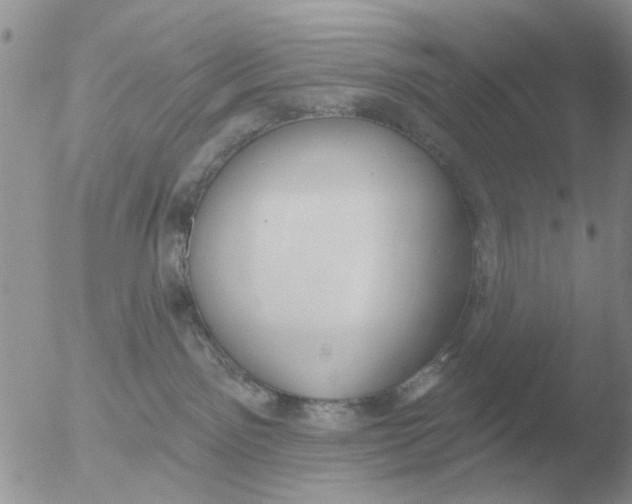 X0000051920141200507152106