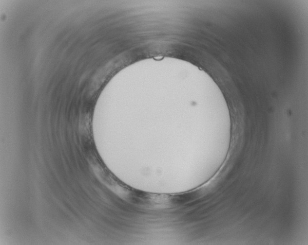 X0000051920144200507152106