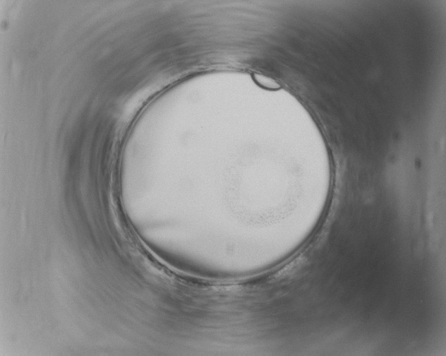 X0000051920145200507152106