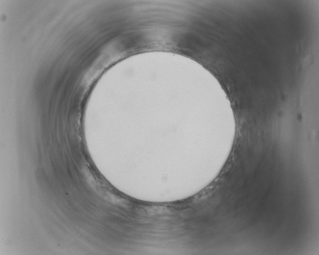 X0000051920146200507152106