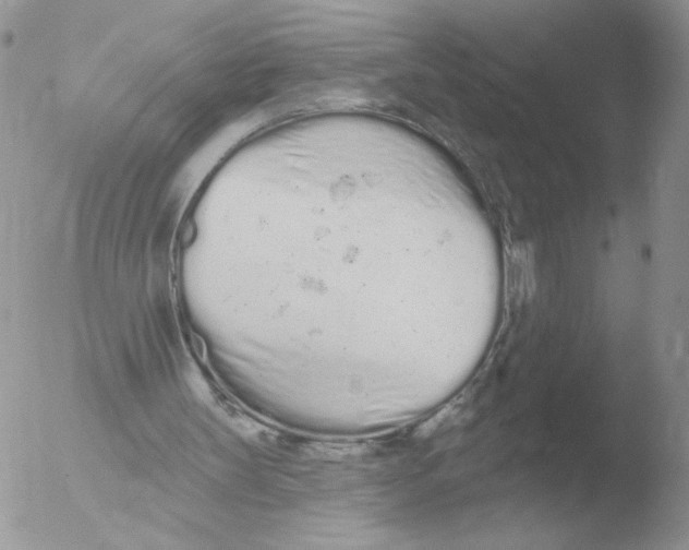 X0000051920147200507152106