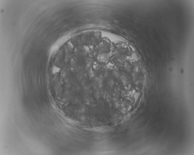 X0000051920149200507152106